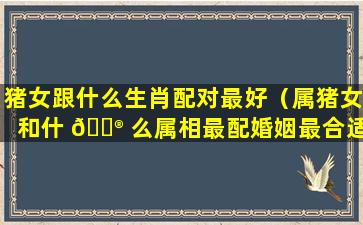 猪女跟什么生肖配对最好（属猪女和什 💮 么属相最配婚姻最合适）